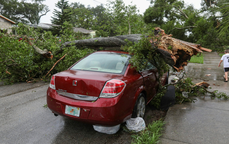 A tree laying on top of a car requiring a car accident attorney