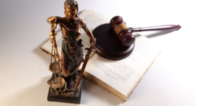 Court oversight plays a central role in probate, from appointing a personal representative to approving the final distribution of an estate.